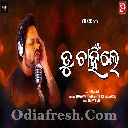 Tu Chahinle - Odia Sad Song